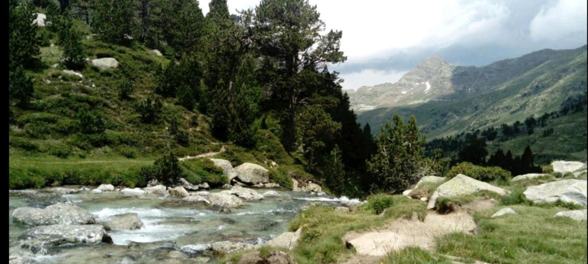 Apartamento El Refugio De Sara Benasque Zewnętrze zdjęcie